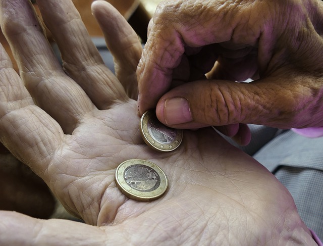 euro